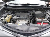 Toyota Rav4 Xle 2T3WFREV3JW411259 снимка