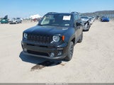 Jeep Renegade Altitude 4X4 ZACNJBBB6LPL11568 fotografie