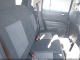 Miniaturka zdjęcia 8