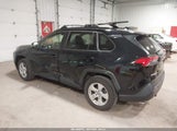 Toyota Rav4 Xle JTMP1RFV0KD012115 photo