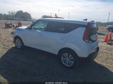 Miniaturka zdjęcia 3