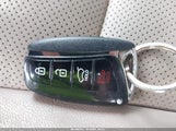 Miniaturka zdjęcia 11