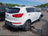 Kia Sportage Ex KNDPC3AC8E7617015 снимка