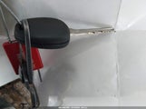 Miniaturka zdjęcia 11