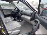 Toyota Rav4 JTMZF33V795013536 снимка
