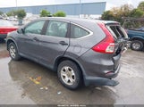 Honda Cr-V Lx 5J6RM4H39FL089490 снимка