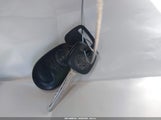 Miniaturka zdjęcia 11