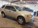 Ford Escape Xlt 1FMCU0DG8BKB80016 fotografie