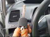 Miniaturka zdjęcia 11