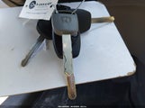 Miniaturka zdjęcia 11