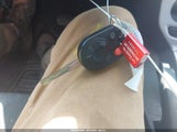 Miniaturka zdjęcia 11