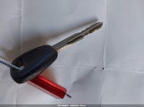 Miniaturka zdjęcia 11
