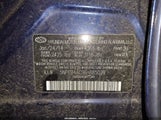 Miniaturka zdjęcia 9