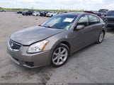 Nissan Maxima 3.5 Se 1N4BA41E98C829589 снимка