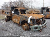 Ford F-550 Chassis Xl 1FDUF5HY3FEC55580 снимка