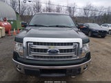 Ford F-150 Xlt 1FTFW1ET5DFD88489 снимка