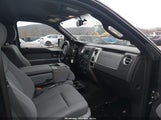 Ford F-150 Xlt 1FTFW1ET5DFD88489 снимка