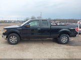 Ford F-150 Xlt 1FTFX1EF7CFB71449 photo