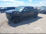Toyota Tacoma Base V6 3TMLU42N99M032411 photo