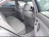 Miniaturka zdjęcia 8