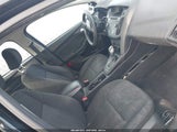 Miniaturka zdjęcia 5