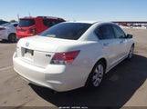 Honda Accord 3.5 Ex-L 1HGCP36898A037904 photo