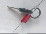 Miniaturka zdjęcia 11