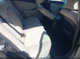 Miniaturka zdjęcia 8