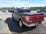 Ford F-150 Fx4/Harley-Davidson/King Ranch/Lariat/Platinum/Xl/Xlt 1FTFW1EVXAKC55635 fotografie