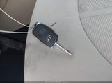 Miniaturka zdjęcia 11
