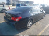 Miniaturka zdjęcia 4