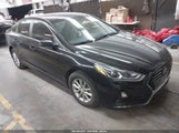 Miniaturka zdjęcia 1