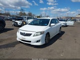 Toyota Corolla S 2T1BU4EE7AC249198 fotografie