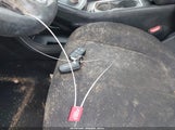 Miniaturka zdjęcia 11