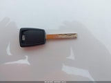 Miniaturka zdjęcia 11