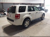 Ford Escape Xlt 1FMCU03Z48KB40902 снимка