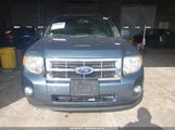 Ford Escape Xlt 1FMCU0DG1BKC60984 fotografie