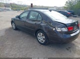 Hyundai Sonata Gls 5NPET46C69H449110 снимка