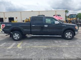 Ford F-150 Xl/Xlt 1FTFW1E86AFC31559 fotografie