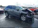 Toyota Rav4 Xle 2T3W1RFV5PW290238 fotografie