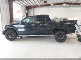 Ford F-150 Fx4/King Ranch/Lariat/Platinum/Xl/Xlt 1FTPW14V29FB13564 fotografie