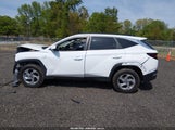 Hyundai Tucson Sel 5NMJB3DE0RH371386 снимка