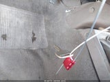Toyota Tacoma Base V6 5TEWN72N24Z440949 photo