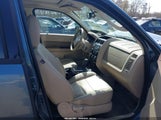 Miniaturka zdjęcia 5