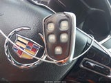 Miniaturka zdjęcia 11