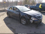 Hyundai Sonata Gls 5NPEB4AC0DH624261 снимка