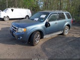 Ford Escape Xlt 1FMCU0DGXBKB95956 снимка
