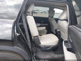 Miniaturka zdjęcia 8