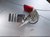 Miniaturka zdjęcia 11