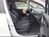 Miniaturka zdjęcia 5